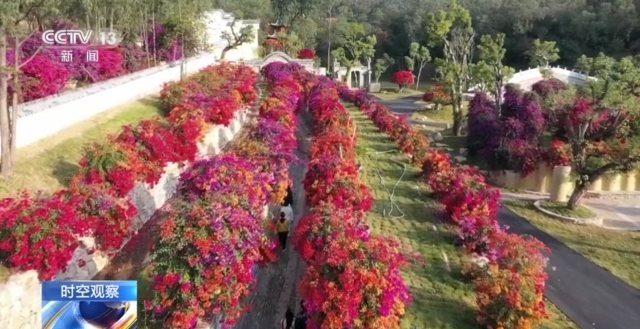 和美乡村什么样？怎么建？一起来场说走就走的“乡村旅行”→