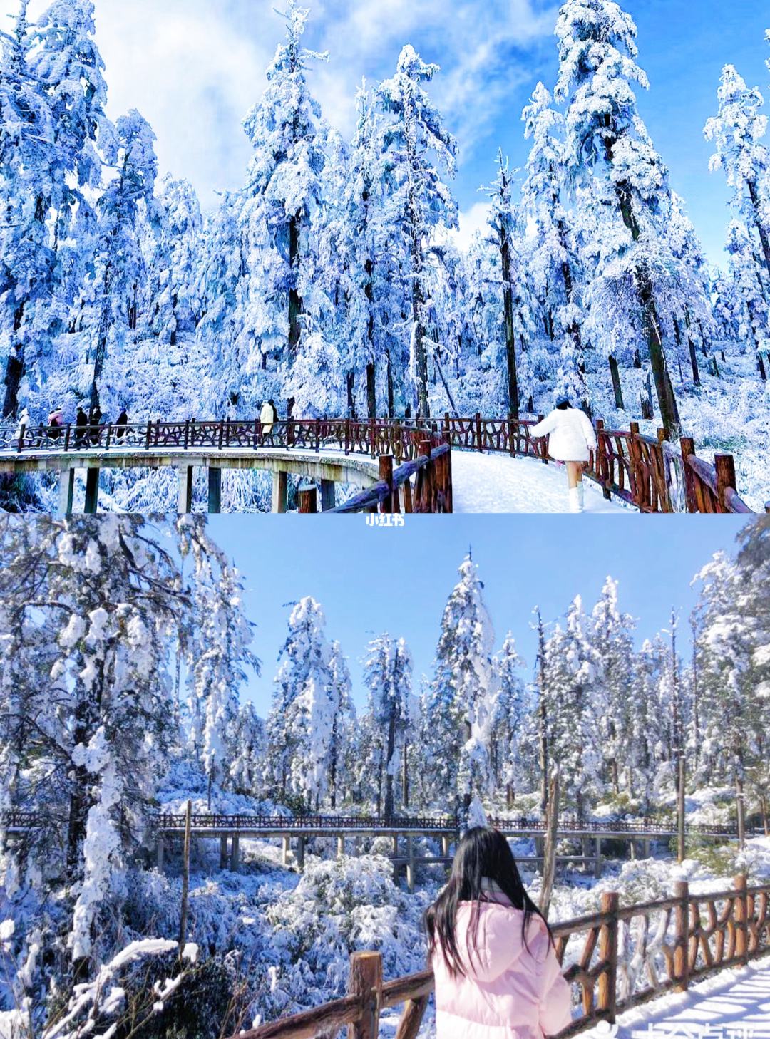 {賭波}(瓦屋山旅游攻略门票)