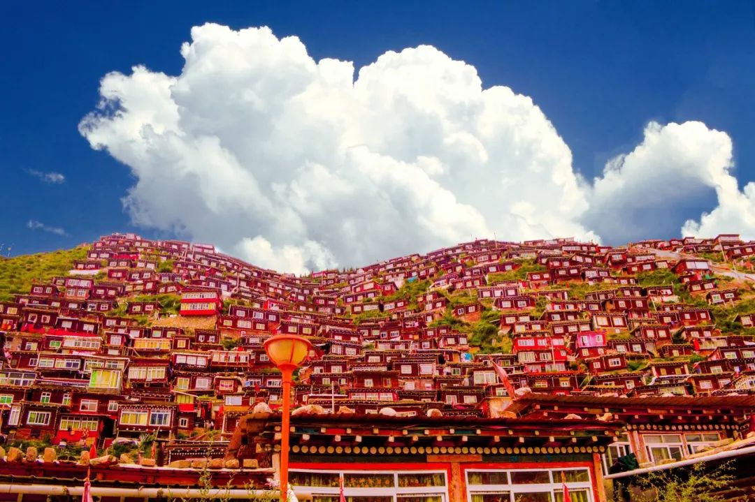 {老虎機}(四川色达现在可以去吗)